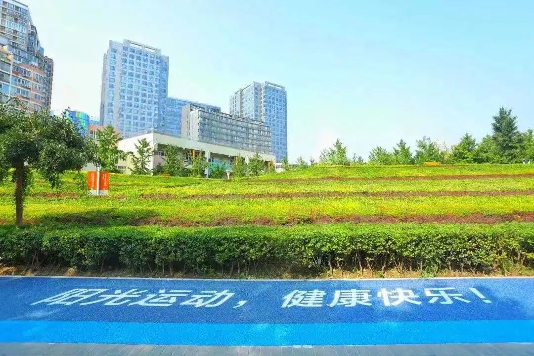 远洋集团：努力做城市发展共建者(6).jpg